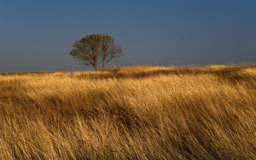 265674 (a): :2560x1600